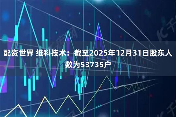 配资世界 维科技术：截至2025年12月31日股东人数为53735户